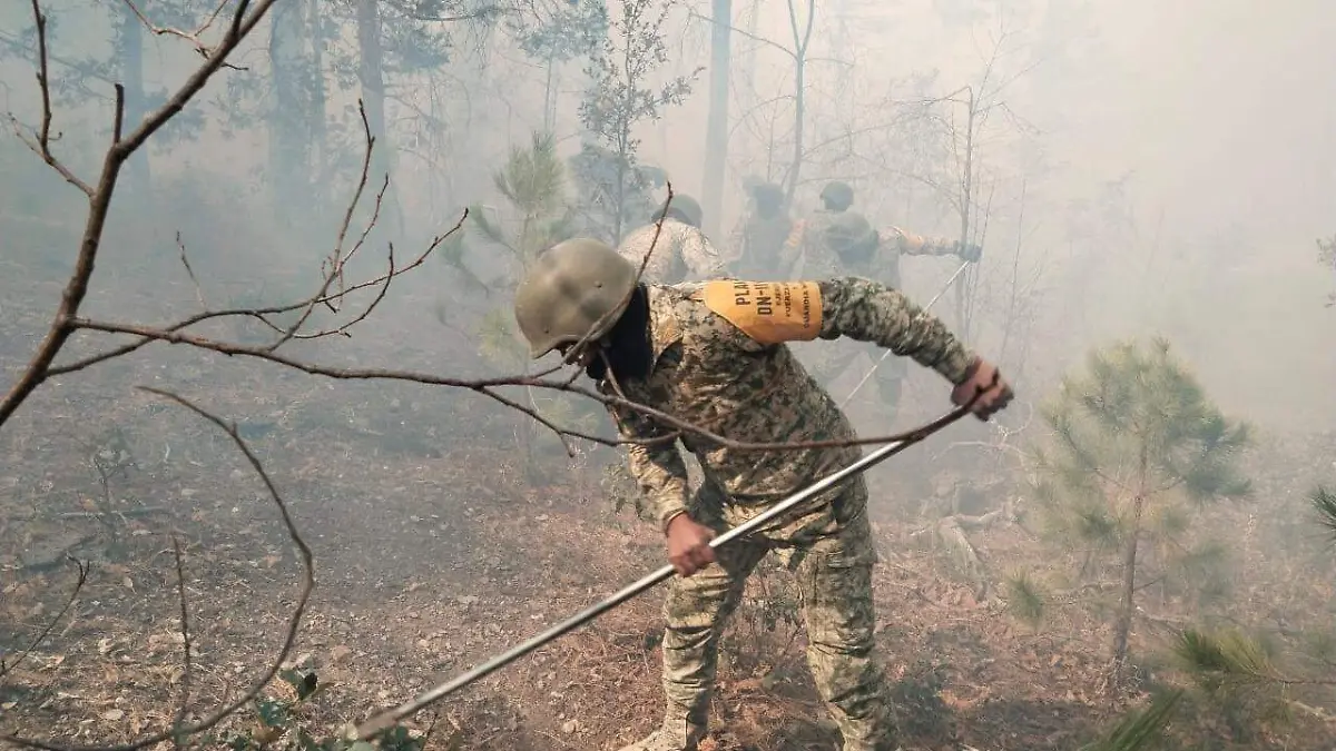 Incendio forestal